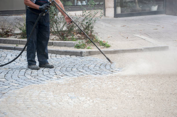 Animal Enclosure Cleaning in Carthage, IL